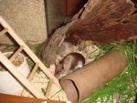 dsc01395u.jpg