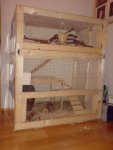 DSC02604.jpg