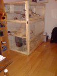 DSC02607.jpg