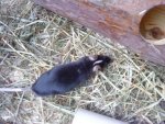 DSC00020.jpg