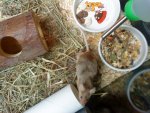 DSC00026.jpg