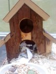 DSC00043.jpg