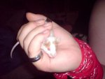 DSC07280.jpg