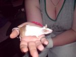 DSC07281.jpg