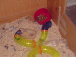 DSC07291.jpg