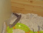 DSC07292.jpg