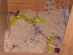 DSC07293.jpg