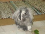 IMG_7327 043.jpg