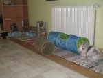 IMG_7367 022.jpg
