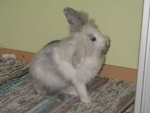 IMG_7368 023.jpg