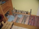 IMG_7377 031.jpg
