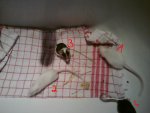 DSC00022.jpg