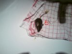 DSC00034.jpg