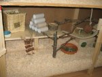 IMG_0558.jpg