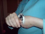Zoe auf der Hand.jpg
