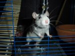 DSC04069.jpg