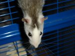 DSC04074.jpg
