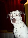 DSC00011.jpg