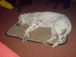 DSC00024.jpg