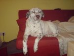 DSC00063.jpg
