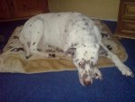 DSC00114.jpg
