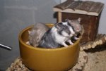 DSC06835.jpg