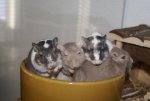 DSC06981.jpg