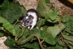 DSC07053.jpg