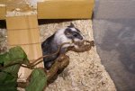DSC07055.jpg