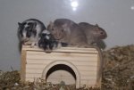 DSC07143.jpg