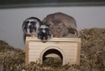 DSC07151.jpg