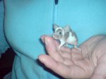 DSC00233.jpg