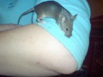 DSC00234.jpg