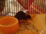 DSC00221.jpg