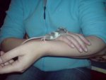 DSC00230.jpg