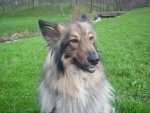 My Pets 011.jpg