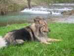 My Pets 029.jpg