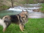 My Pets 036.jpg