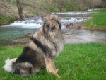 My Pets 038.jpg
