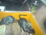 DSC01641.JPG