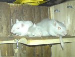 DSC01653.jpg