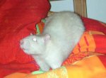 DSCN4496.jpg