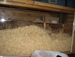 img_1158.jpg