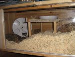 img_1159.jpg