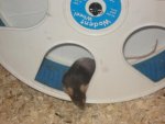 DSC03944.jpg