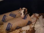 DSC03639.jpg