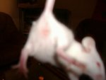 DSCF0639.jpg