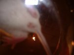 DSCF0651.jpg