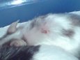 DSC00432.JPG