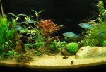 aqua57.jpg